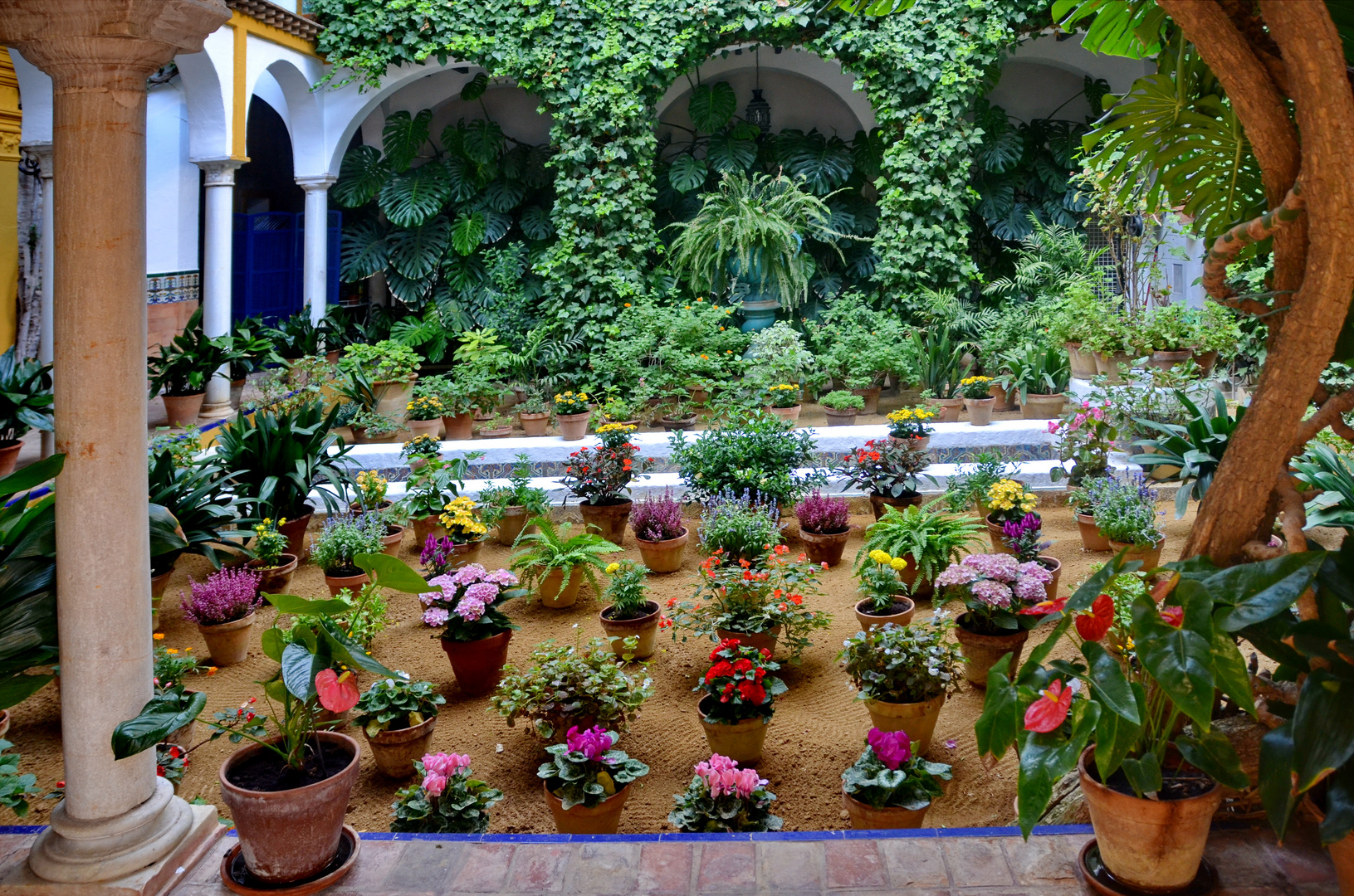 Blumen Patios in Sevilla