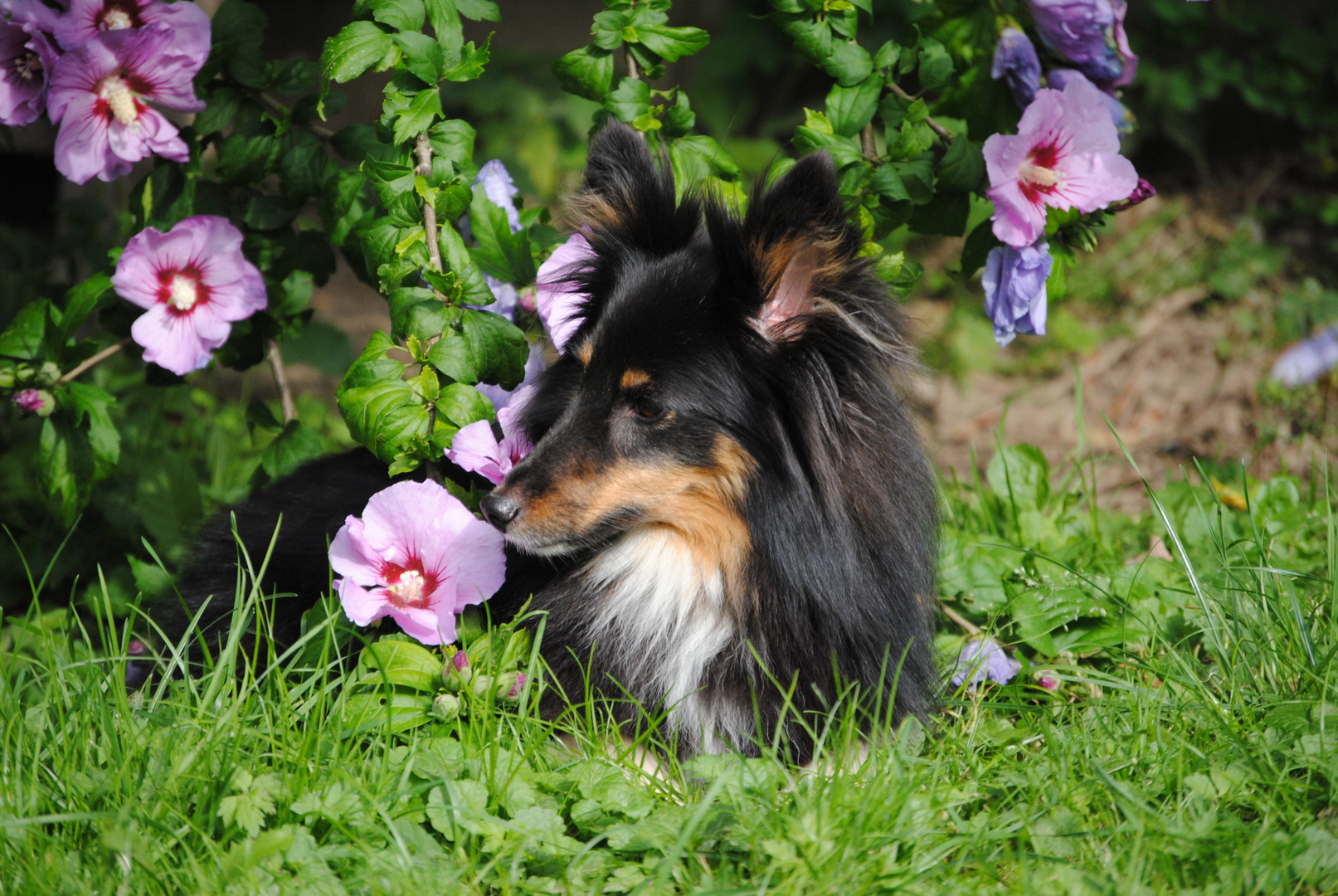 Blumen riechen gut!