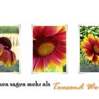 *Blumen sagen mehr als...*