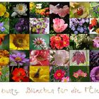 Blumen satt