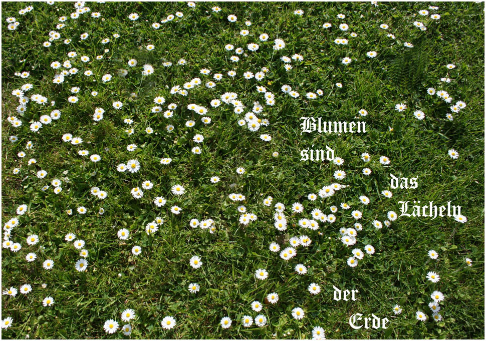 Blumen sind