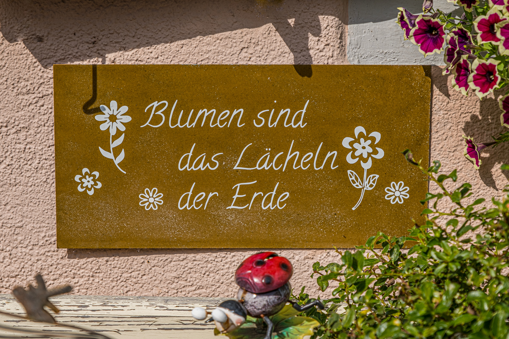 Blumen sind das Lächeln der Erde