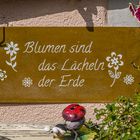 Blumen sind das Lächeln der Erde