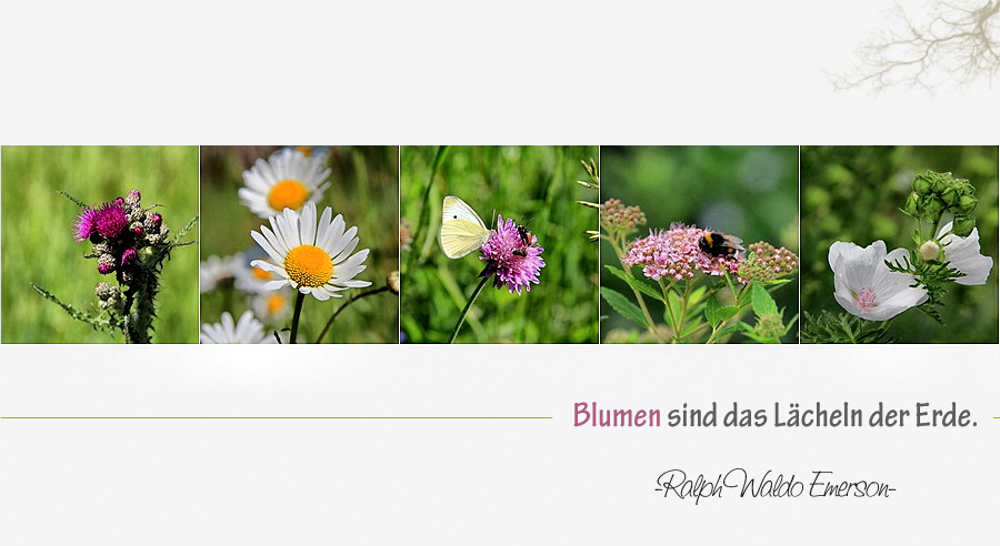 BLUMEN SIND DAS LÄCHELN DER ERDE