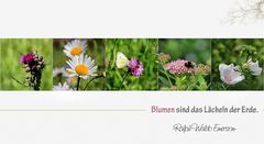 BLUMEN SIND DAS LÄCHELN DER ERDE