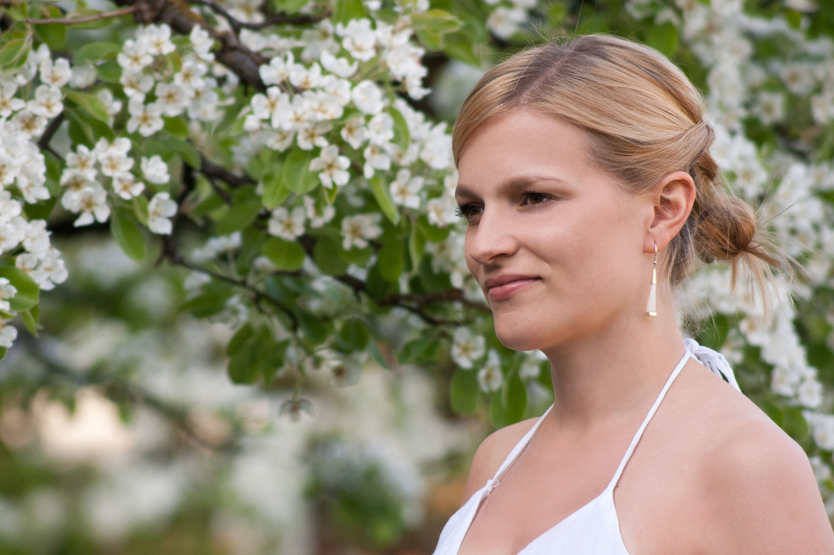 Blumen sind das Lächeln der Erde