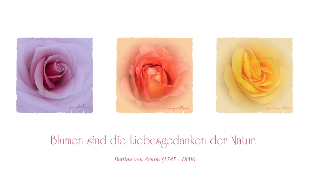 BLUMEN SIND DIE LIEBESGEDANKEN DER NATUR