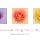 BLUMEN SIND DIE LIEBESGEDANKEN DER NATUR