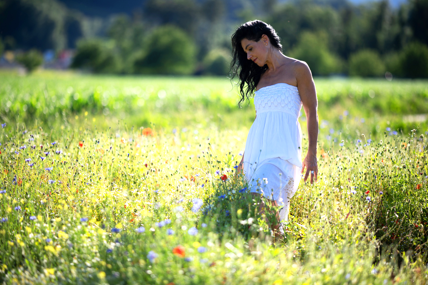 Blumen sind die schönsten Worte der Natur