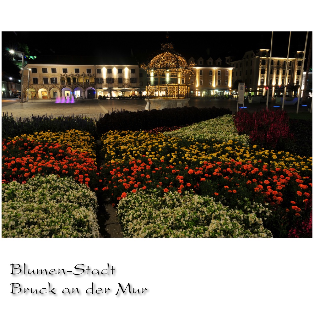 Blumen Stadt