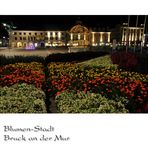 Blumen Stadt