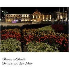 Blumen Stadt