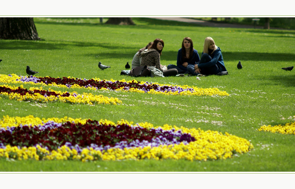 Blumen * Tauben * Hühner