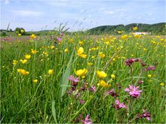 Blumen Teppich