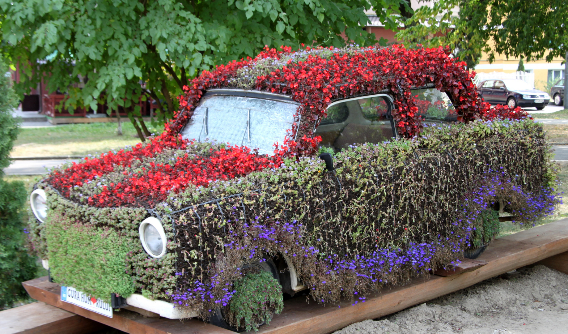 Blumen - Trabant