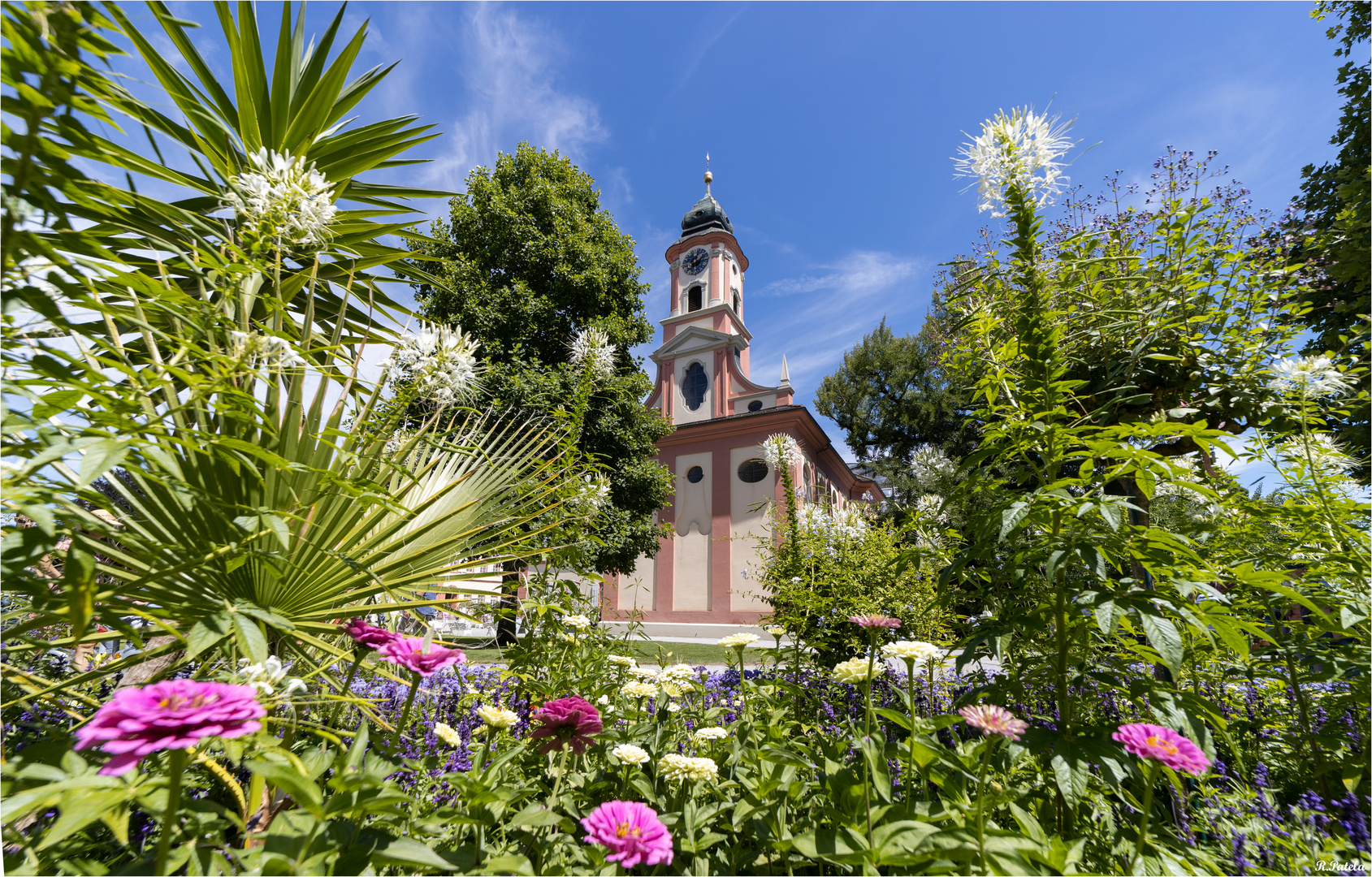 Blumen über Blumen