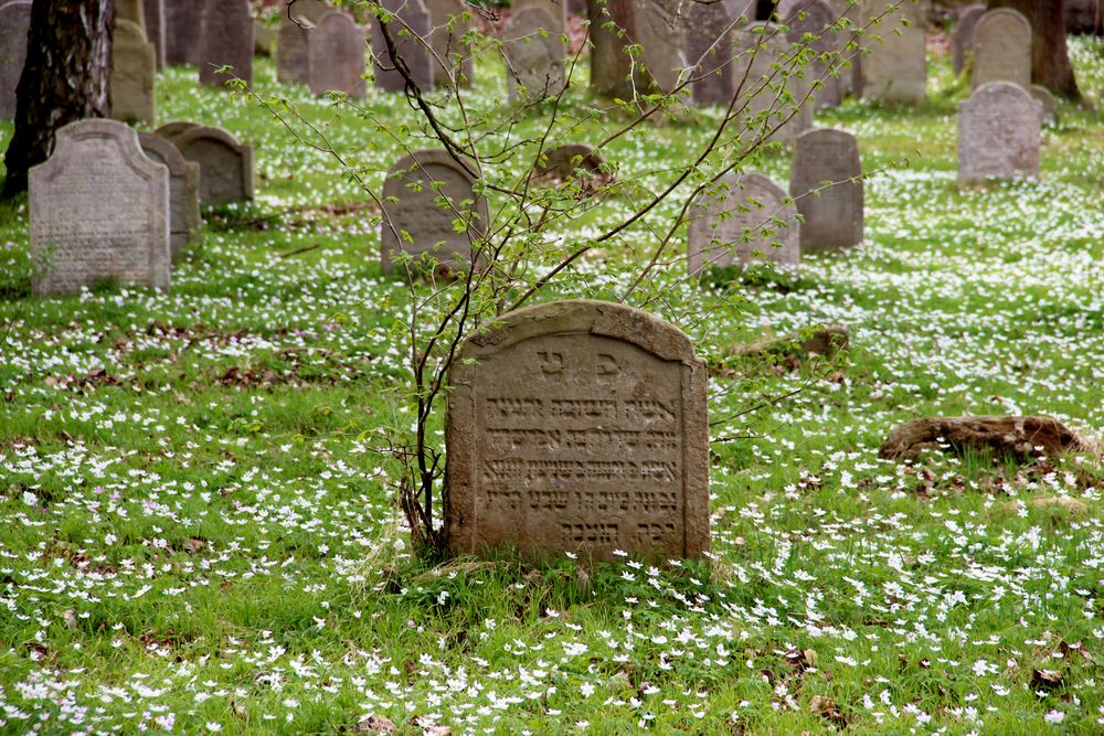 Blumen über Gräbern