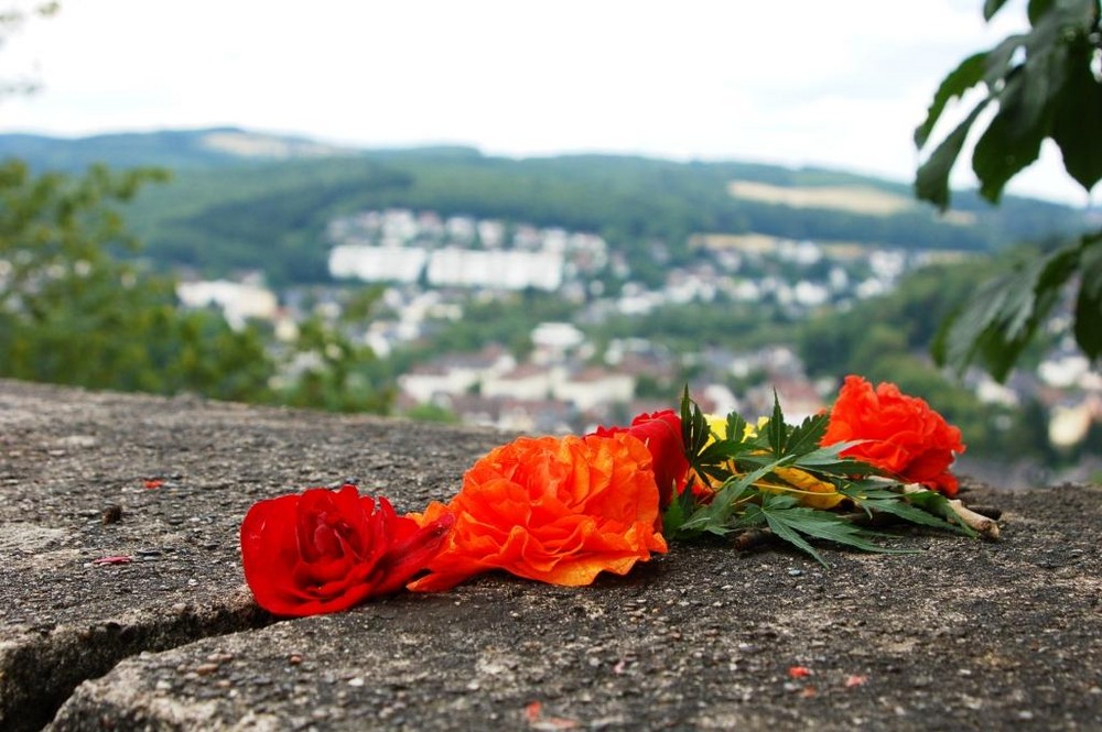 Blumen über Siegen