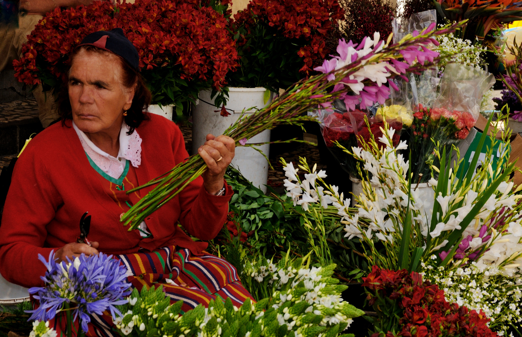 Blumen überall