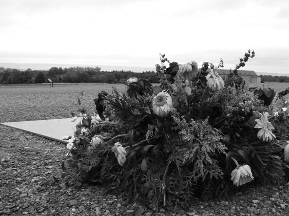 Blumen und Erinnerungen welken...