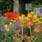 Blumen und Kunst im Hausgarten