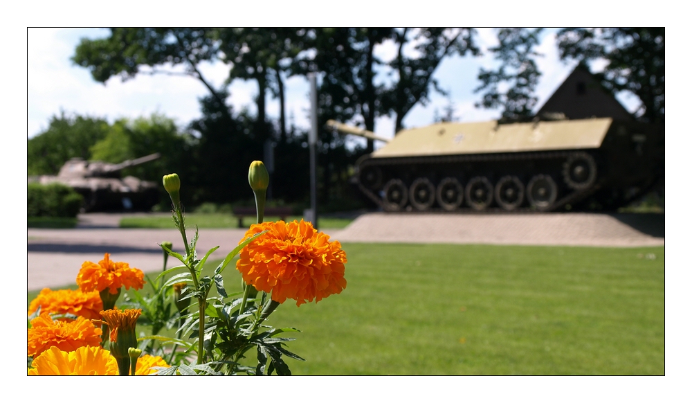 Blumen und Panzer