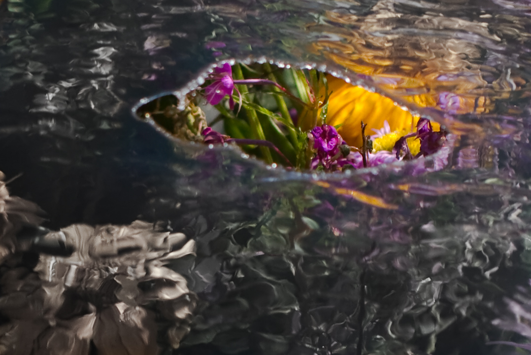 Blumen Unter Wasser Foto Bild Architektur Zierbrunnen Munchen Bilder Auf Fotocommunity