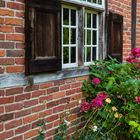 Blumen unterm Fenster, am Wohngiebel des 