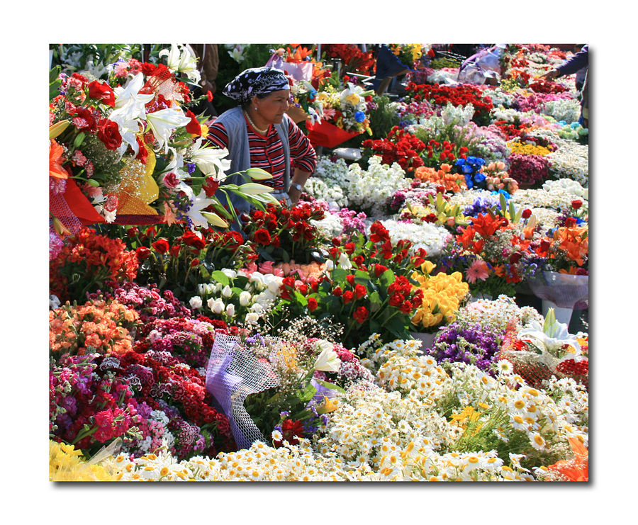 Blumen-Verkäuferin