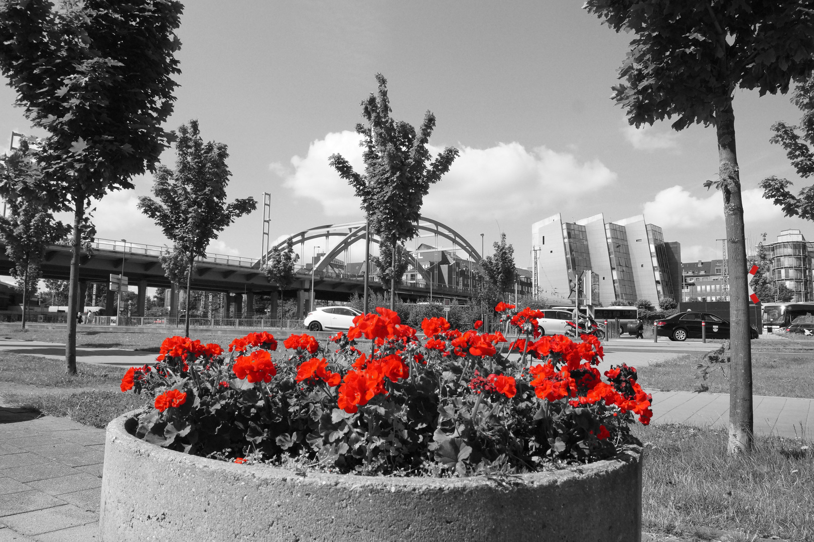 Blumen verschönern die Strassen