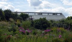 Blumen Vielfalt