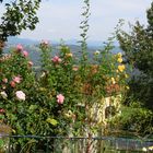  Blumen vom Lieneck vom September 