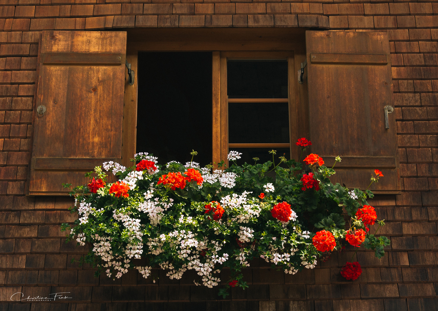 Blumen vor dem Fenster