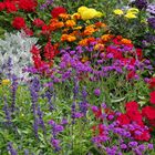 Blumen vor dem Leipziger Hauptbahnhof.