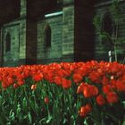 Blumen vor der Johanniskirche