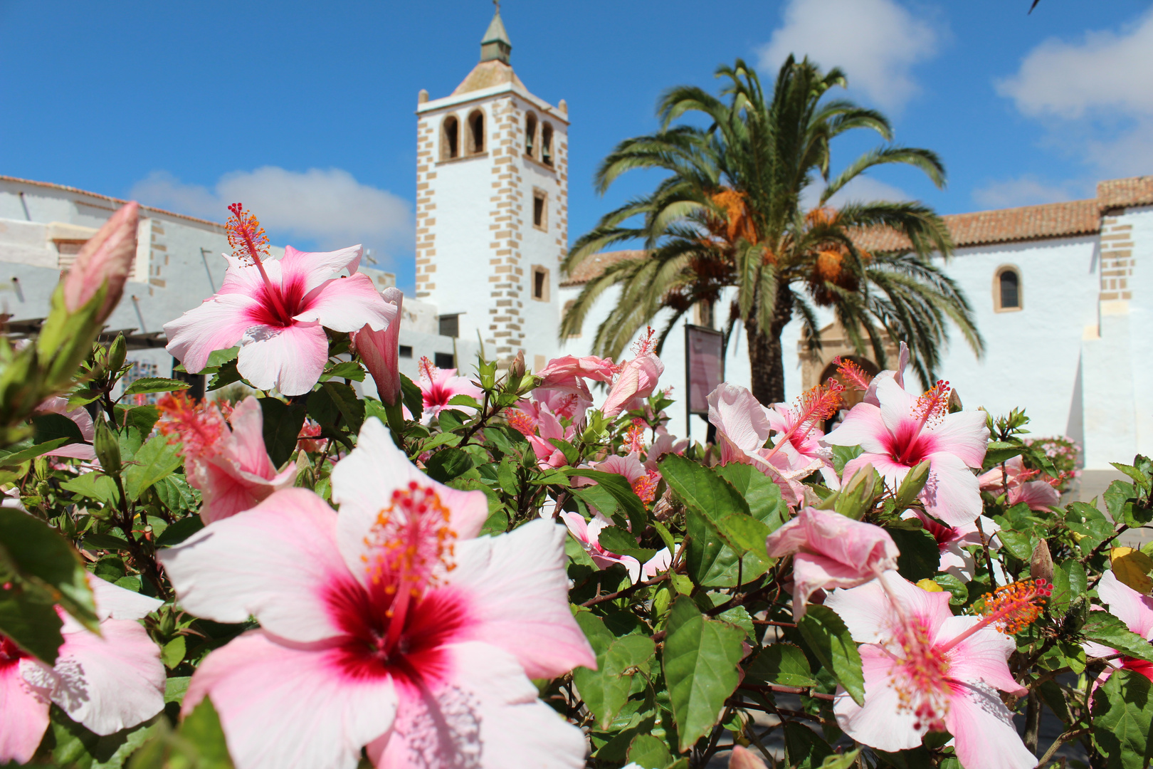 Blumen vor der Kirche