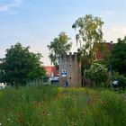 Blumen vor der Stadtmauer