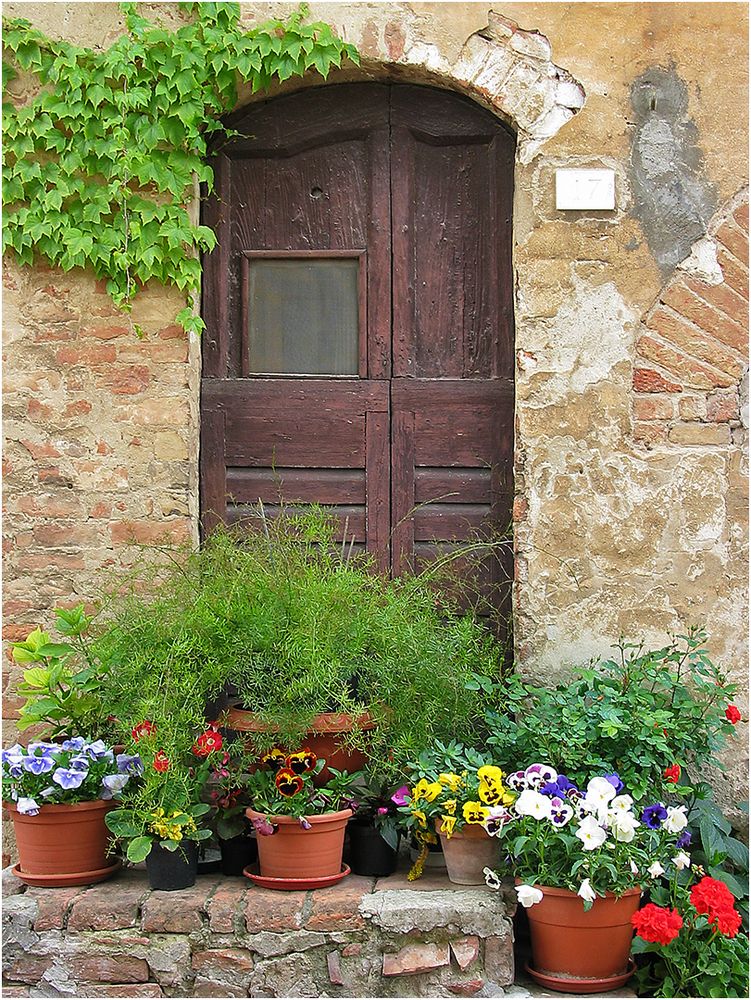 Blumen vor der Tür