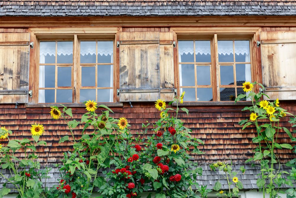 Blumen vorm Fenster Foto & Bild world, natur, holz