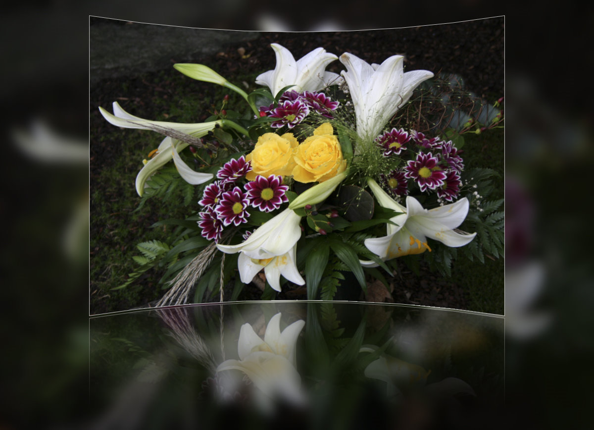 Blumen zum Geburtstag Foto & Bild | pflanzen, pilze & flechten, blüten