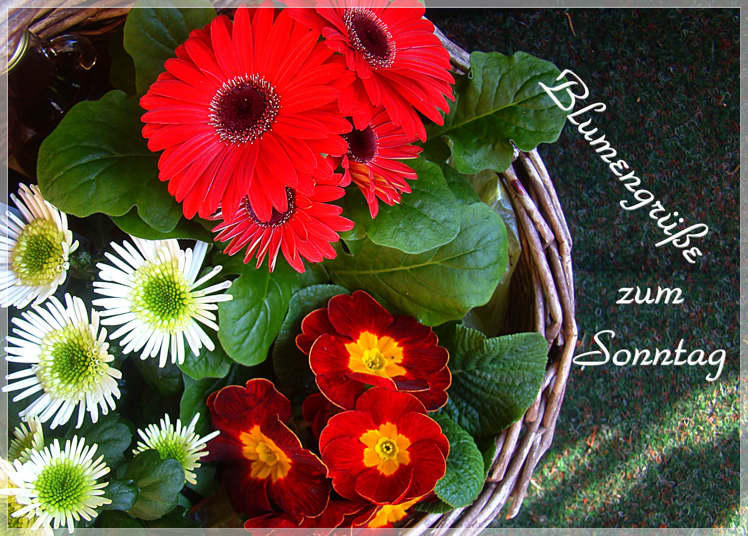 Blumen zum Sonntag