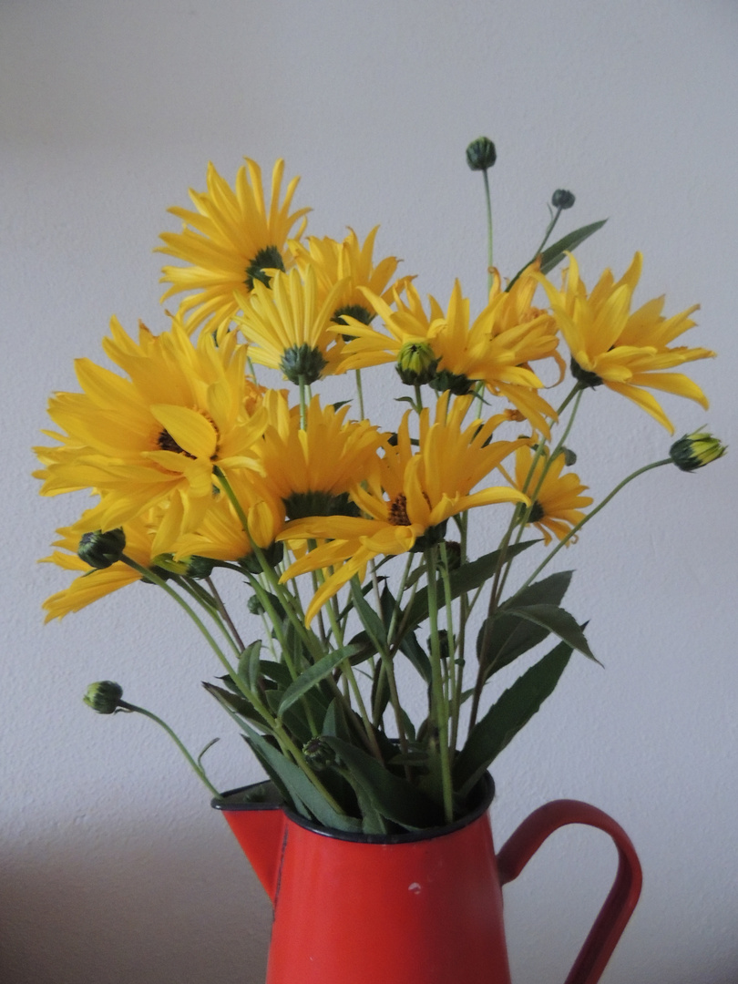 Blumen zum Wochenende