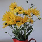 Blumen zum Wochenende