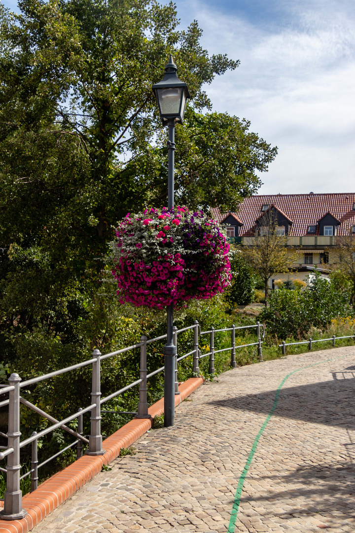 Blumenampel an der Straßenleuchte 