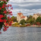 Blumenampel in Seeburg