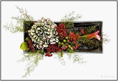 Blumenarrangement 012