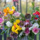 Blumenarrangement aus Frühlingsblumen