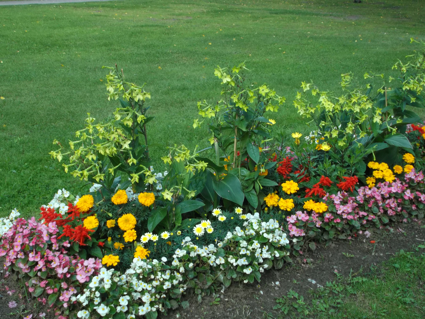 Blumenarrangement im Park von Hjo