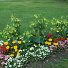 Blumenarrangement im Park von Hjo