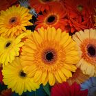 Blumenarrangement mit Gerberas